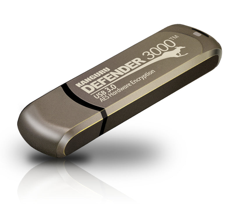 iStorage Kanguru Defender 3000 USB-Stick 256 GB USB Typ-C 3.2 Gen 1 (3.1 Gen 1) Grau