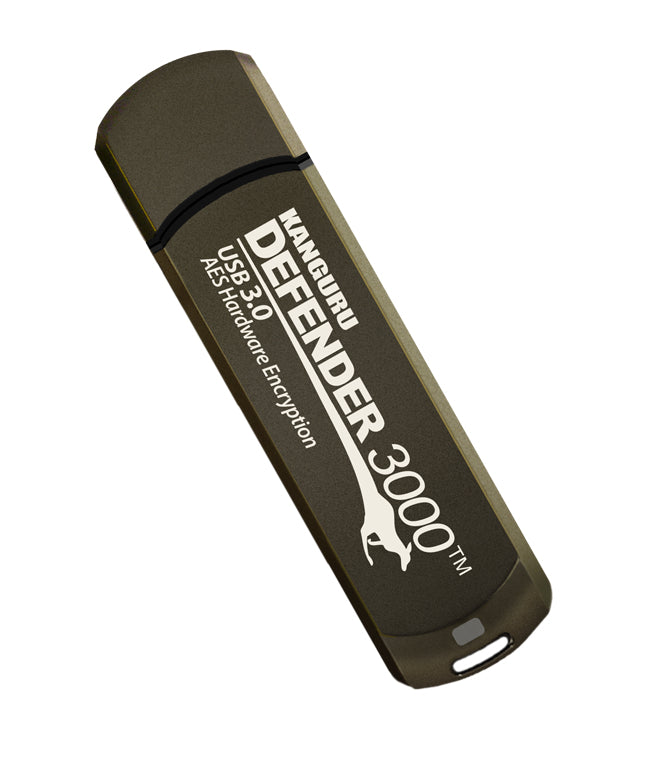 iStorage Kanguru Defender 3000 USB-Stick 256 GB USB Typ-C 3.2 Gen 1 (3.1 Gen 1) Grau