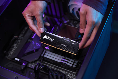 Kingston RAM FURY Beast RGB - 8 GB - DDR5 5600 DIMM CL36