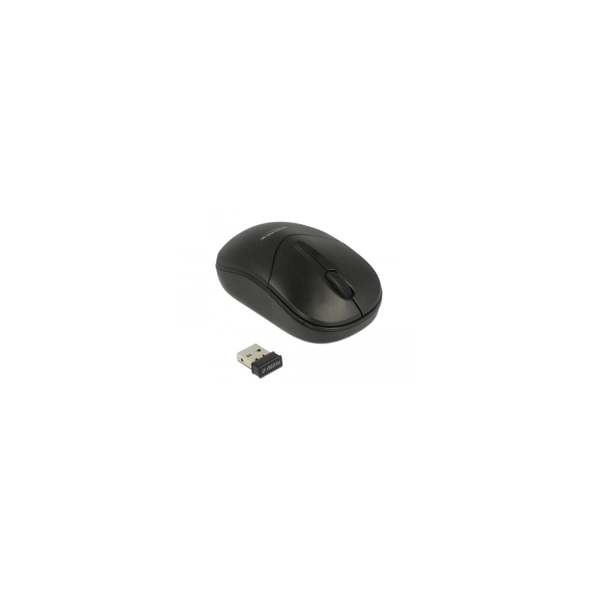 Delock 12494 USB 2.4 GHz, WIRELESS