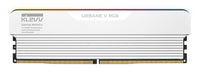Klevv Urbane V RGB Module de mémoire 32 Go 2 x 16 Go DDR5 6000 MT/s DIMM 288 broches
