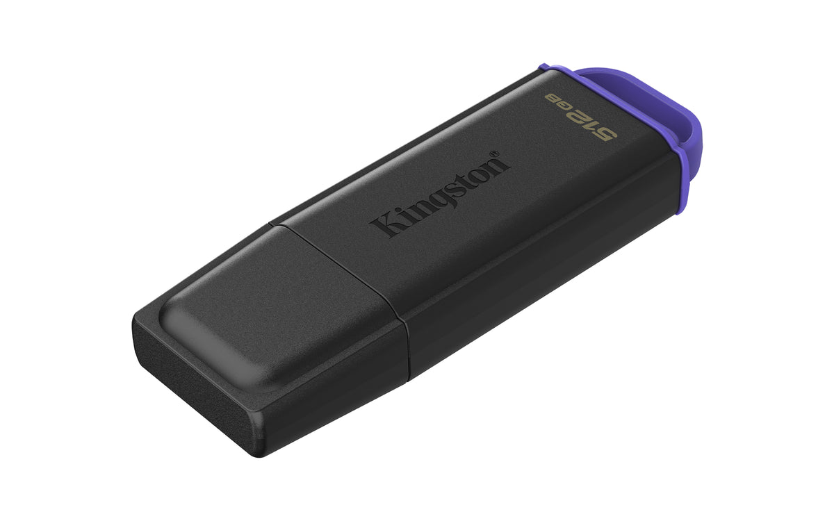 Kingston Technology DataTraveler 512GB Tragbarer USB 3.2 Gen 1 Exodia Schwarz + Violett