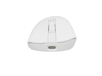 GENESIS Zircon 880 Maus Gaming Rechts RF Wireless + Bluetooth + USB Type-C Optisch 12000 DPI