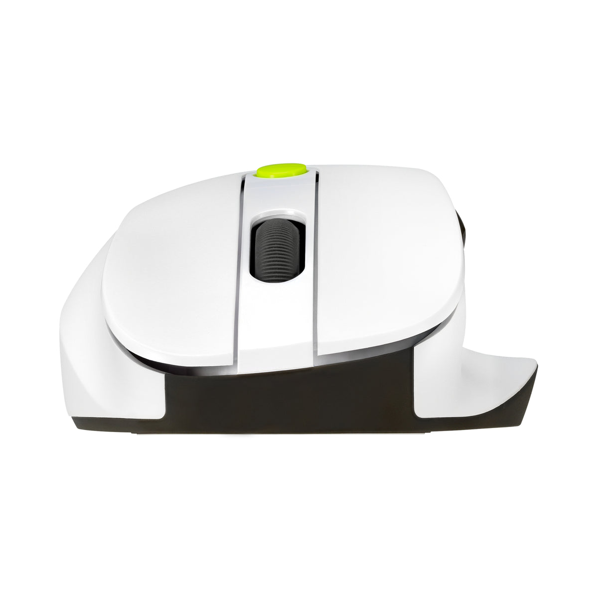 ASUS MD105 MOUSE/VT-GN Maus Universal Rechts RF Wireless + Bluetooth 2400 DPI