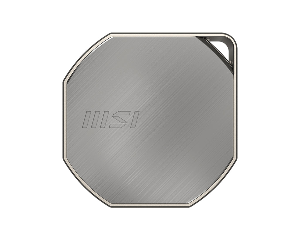 MSI DATAMAG 40GBPS 2TB Externes Solid State Drive USB Typ-C USB 3.2 Gen 2x2 Silber