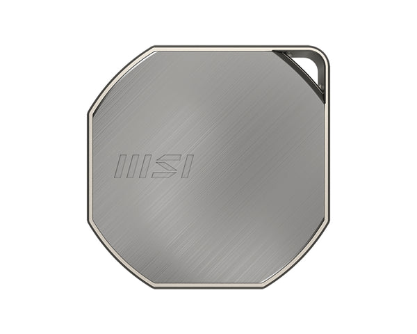 MSI DATAMAG 40 Gbit/s 2 To Disque dur externe SSD USB Type-C USB 3.2 Gen 2x2 Argent