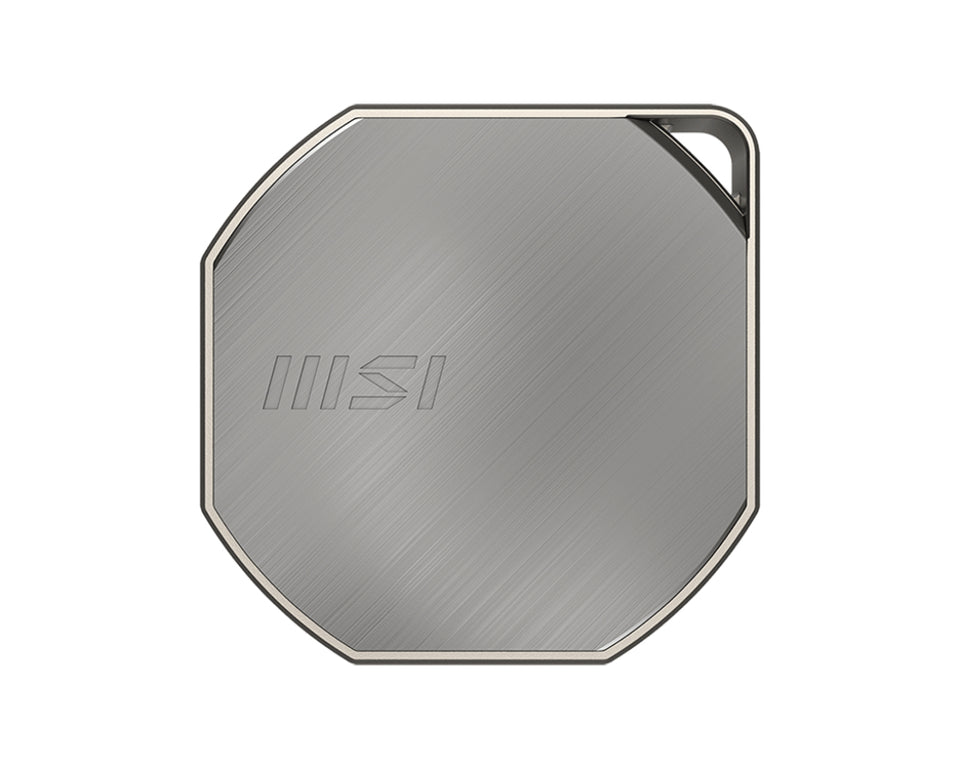 MSI DATAMAG 40 Gbit/s 2 To Disque dur externe SSD USB Type-C USB 3.2 Gen 2x2 Argent