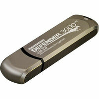 iStorage Kanguru Defender 3000 USB-Stick 256 GB USB Typ-C 3.2 Gen 1 (3.1 Gen 1) Grau
