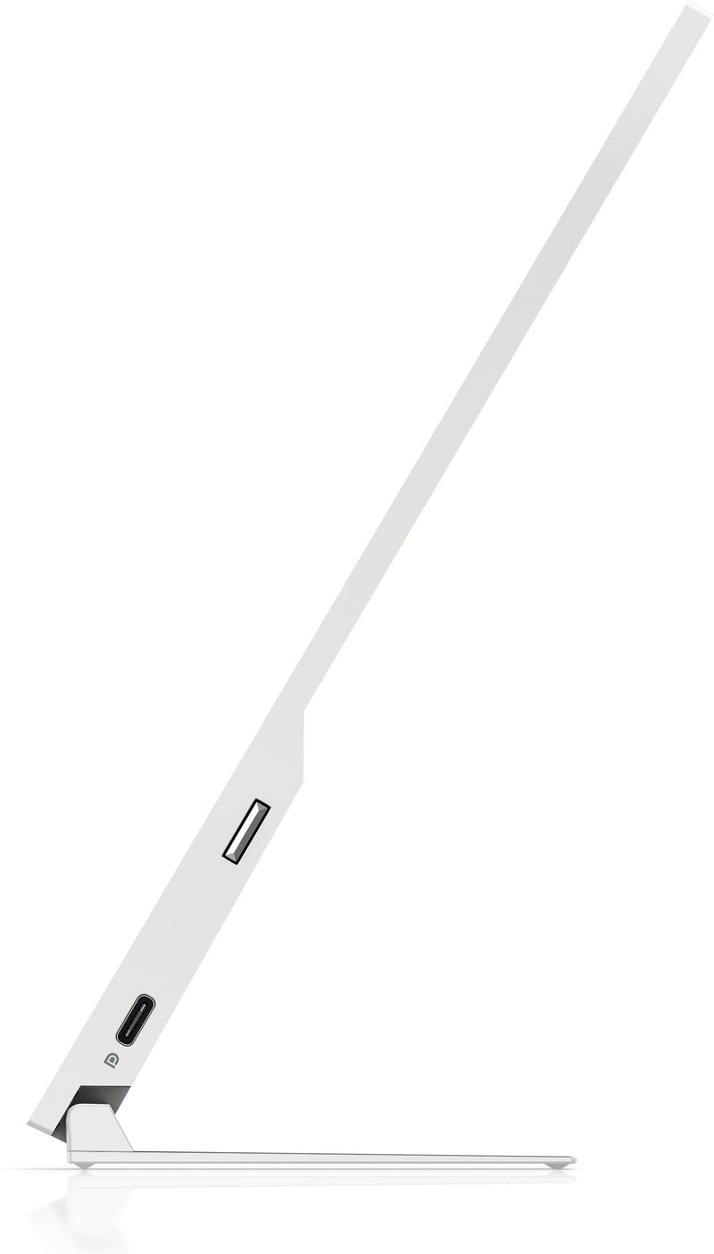 HP E-Series E14 G4 Tragbarer Monitor