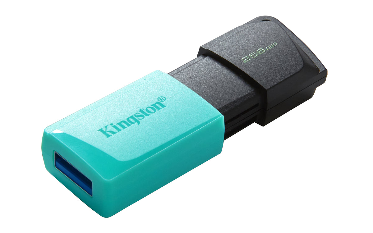 Kingston Technology DataTraveler 256GB USB3.2 Gen1 Exodia M (Schwarz + Türkis)