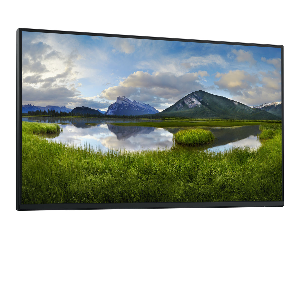 DELL Pro Plus P2425HE_WOST Computerbildschirm 61 cm (24") 1920 x 1080 Pixel Full HD LCD Schwarz