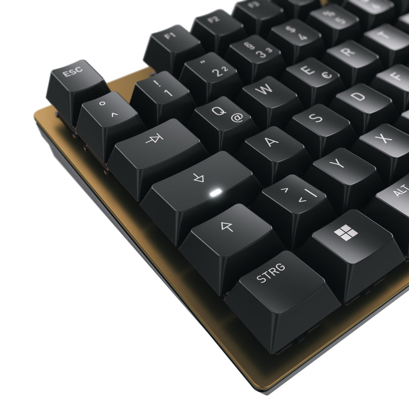 CHERRY KC 200 MX Tastatur Universal USB QWERTZ Deutsch Schwarz, Bronze