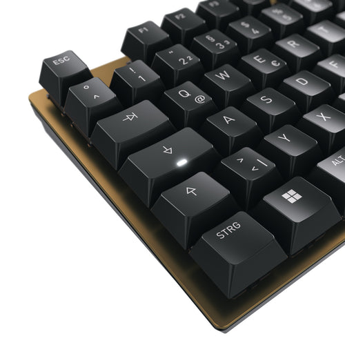 Cherry Keyboard KC 200 MX MX2A Brown [DE] Black/bronze Switch