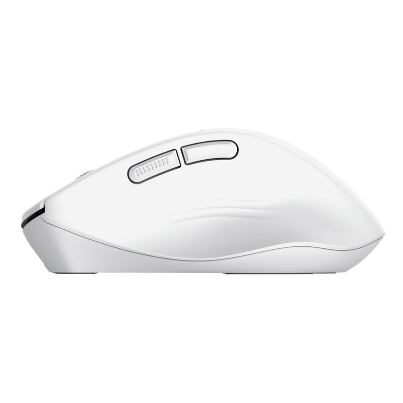 Trust Niven Maus Büro rechts RF Wireless + Bluetooth 3200 DPI