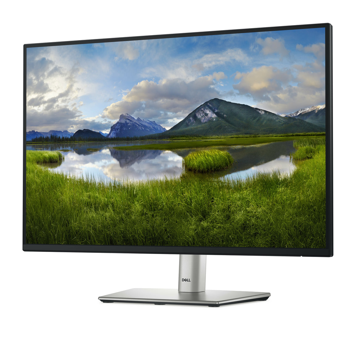 DELL Pro Plus P2425E Computerbildschirm 61,1 cm (24.1") 1920 x 1200 Pixel WUXGA LCD Schwarz