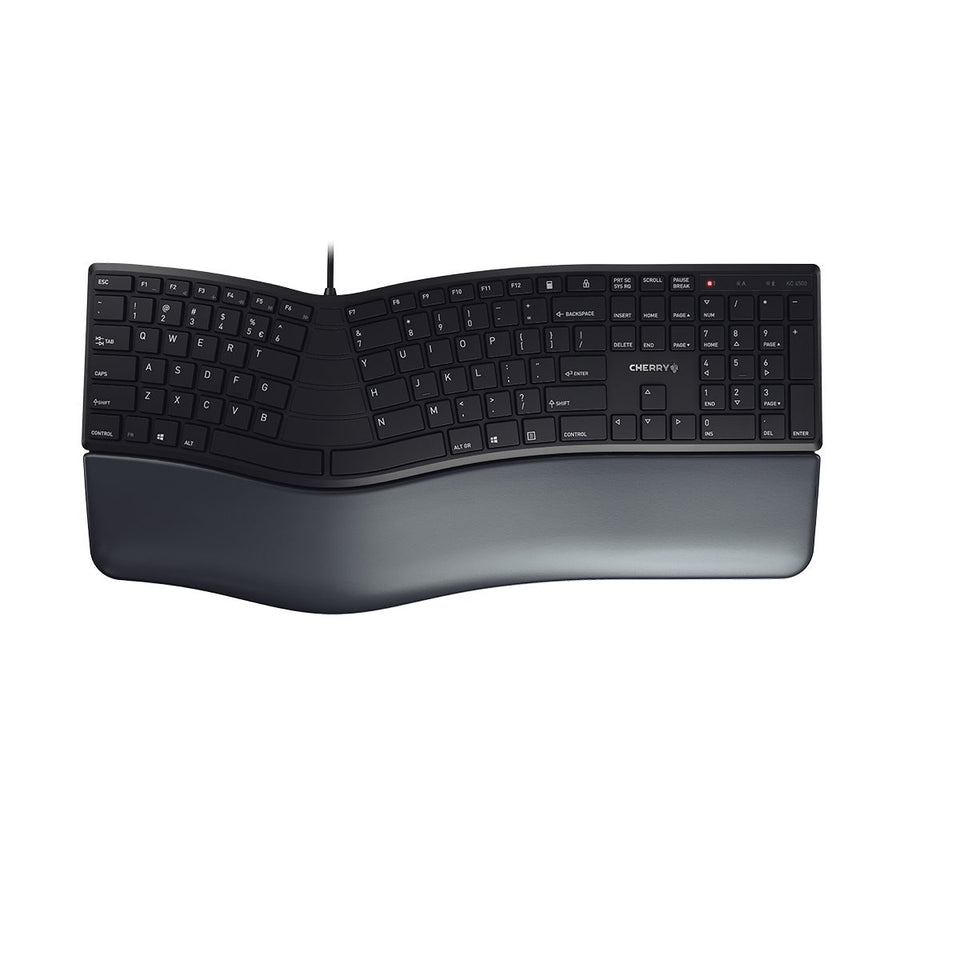 Clavier CHERRY KC 4500 ERGO Universel USB QWERTY US Anglais Noir