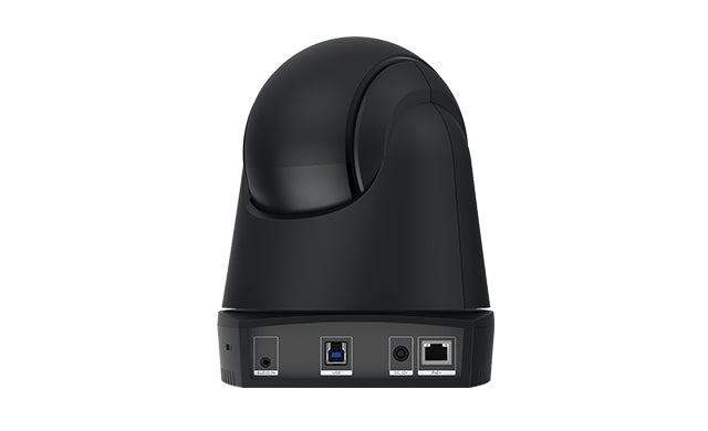 AVer DL30 Webcam 2 MP 1920 x 1080 Pixel USB Schwarz