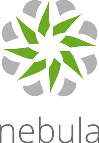 Zyxel LIC-NPRO-ZZ1Y00F Software-Lizenz/-Upgrade 1 Lizenz(en) 1 Jahr(e)