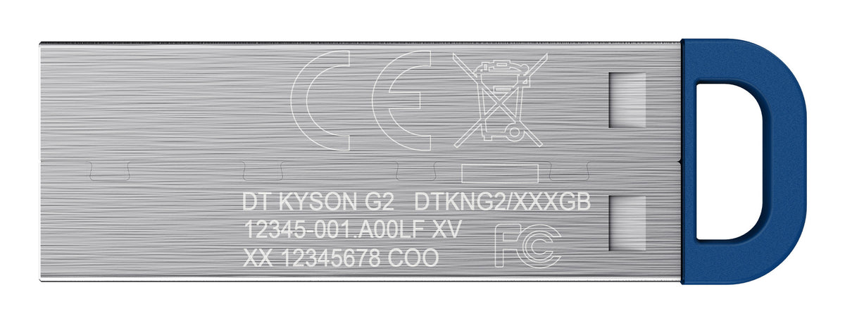 Kingston Technology DataTraveler 256GB ® Kyson 220 MB/s Metall USB 3.2 Gen 1