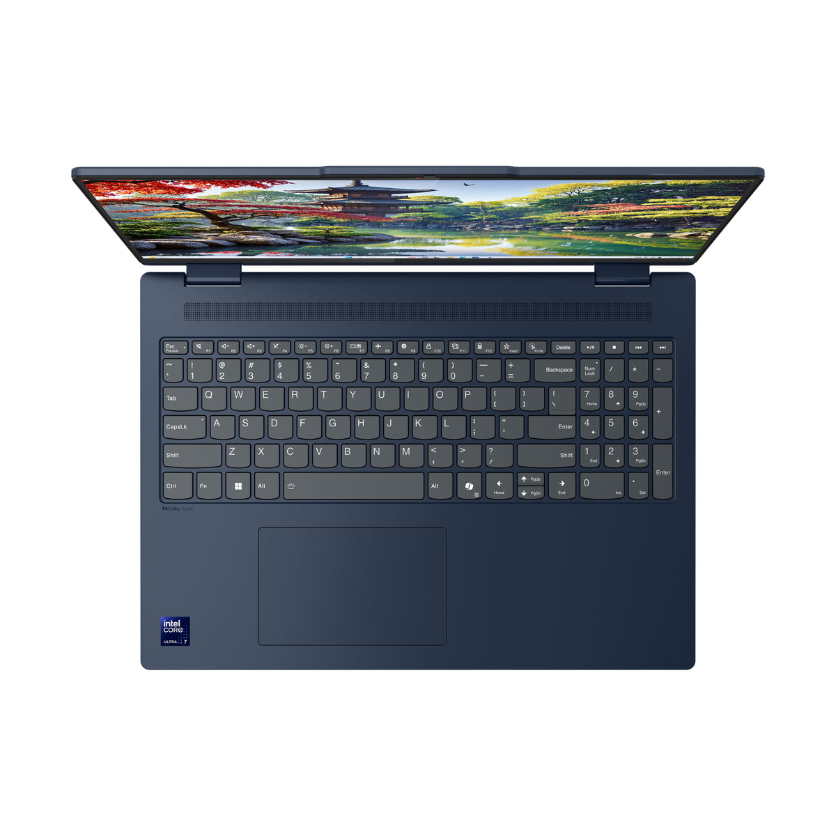 Lenovo IdeaPad 5 2-in-1 16IAL10 Intel Core Ultra 5 225U Hybrid (2-in-1) 40,6 cm (16") Touchscreen WUXGA 16 GB LPDDR5x-SDRAM 512 GB SSD Wi-Fi 6 (802.11ax) Windows 11 Home Schweiz Blau