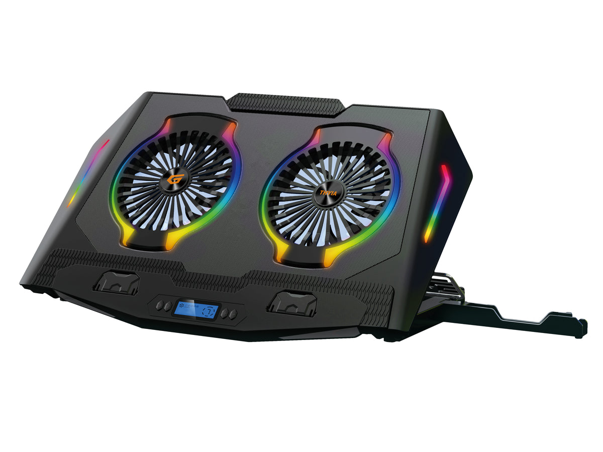 Conceptronic THYIA ERGO Gaming-Notebook Kühlständer mit 2 Lüftern