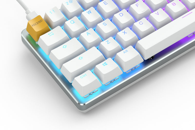 Glorious Gaming GMMK Tastatur USB QWERTY US International Silber, Weiß