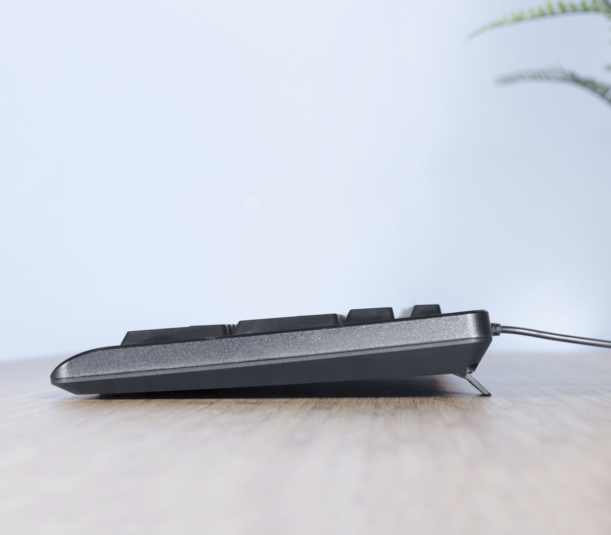 Trust TKM-250 Clavier Souris inclus Bureau USB QWERTZ Allemand Noir