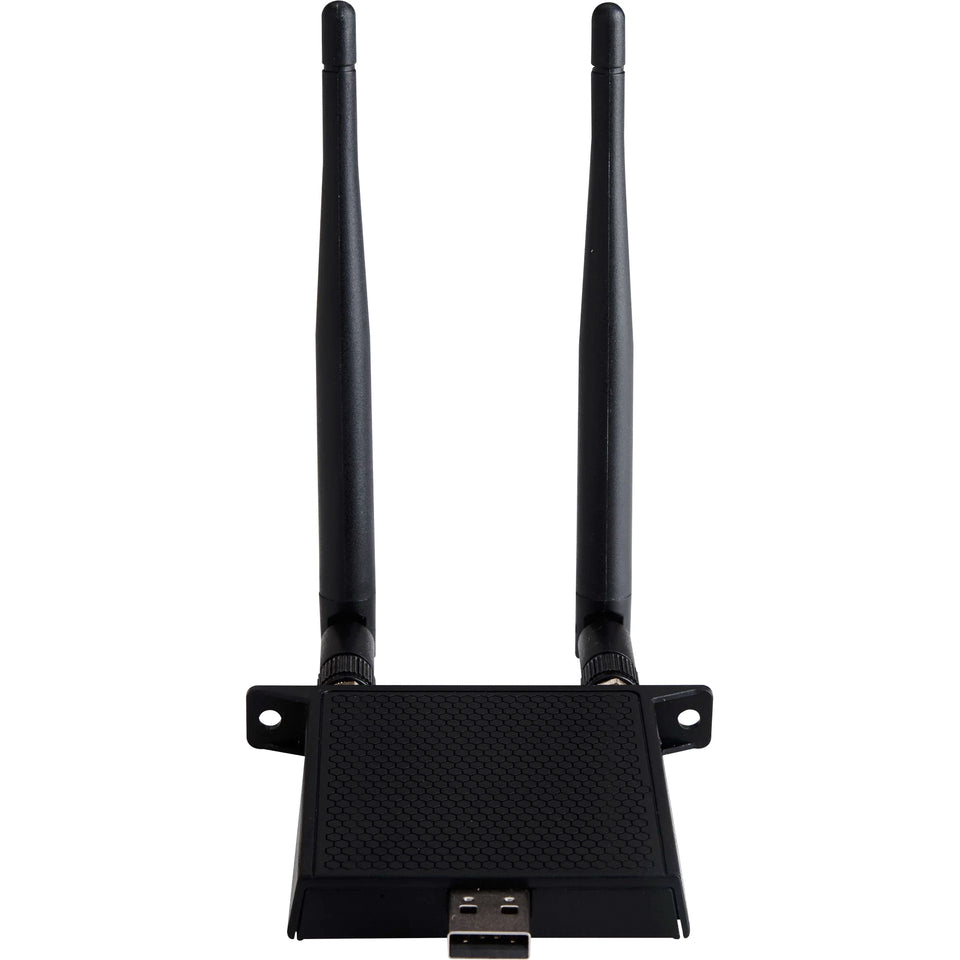 Viewsonic VB-WIFI-001 Carte réseau WLAN / Bluetooth