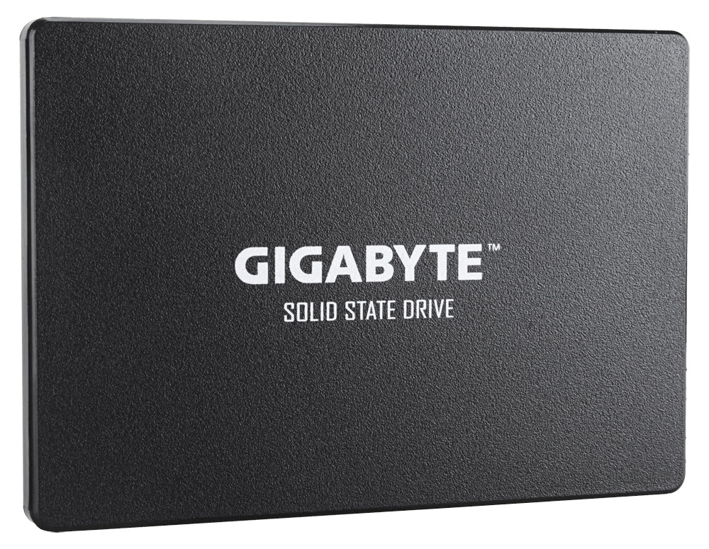 GIGABYTE GP-GSTFS31100TNTD Internes Solid State Drive 1 TB 2.5" SATA