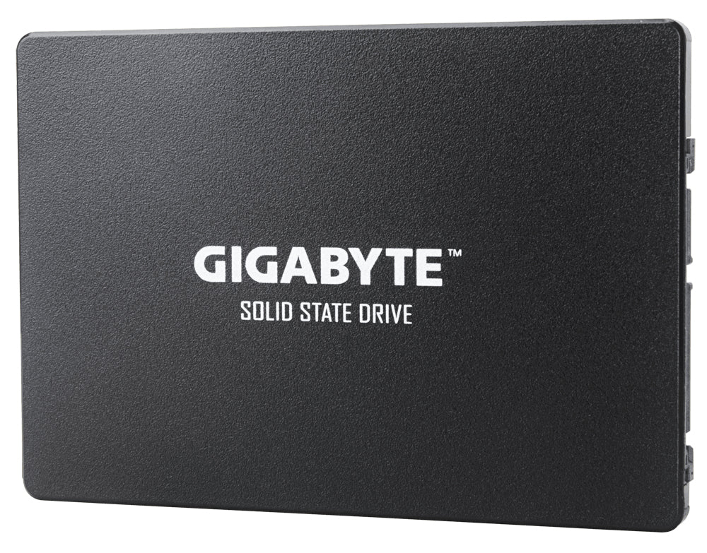 GIGABYTE GP-GSTFS31100TNTD Internes Solid State Drive 1 TB 2.5" SATA