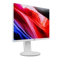 Lenovo C24d-20 Computerbildschirm 61 cm (24") 1920 x 1200 Pixel Full HD LED Grau, Weiß