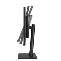 ASUS ProArt PA328CGV Computerbildschirm 81,3 cm (32") 2560 x 1440 Pixel Wide Quad HD Schwarz