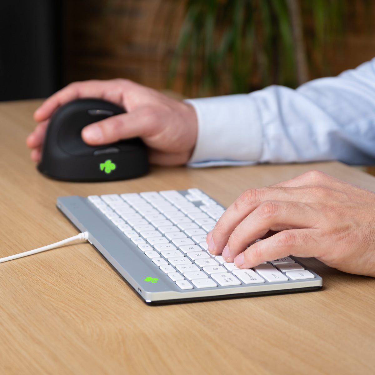 R-Go Tools Ergonomische Tastatur R-Go Compact Break, kompakte Tastatur mit Pausensoftware, QWERTY (US), Kabelgebunden, Weiß