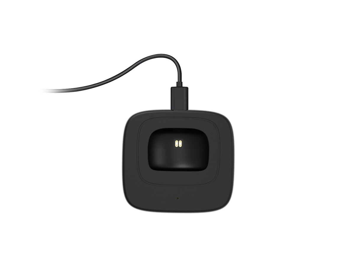 Conceptronic POLONA Kabelloses Bluetooth-Headset mit Ladedoc & Bluetooth USB audio adapter