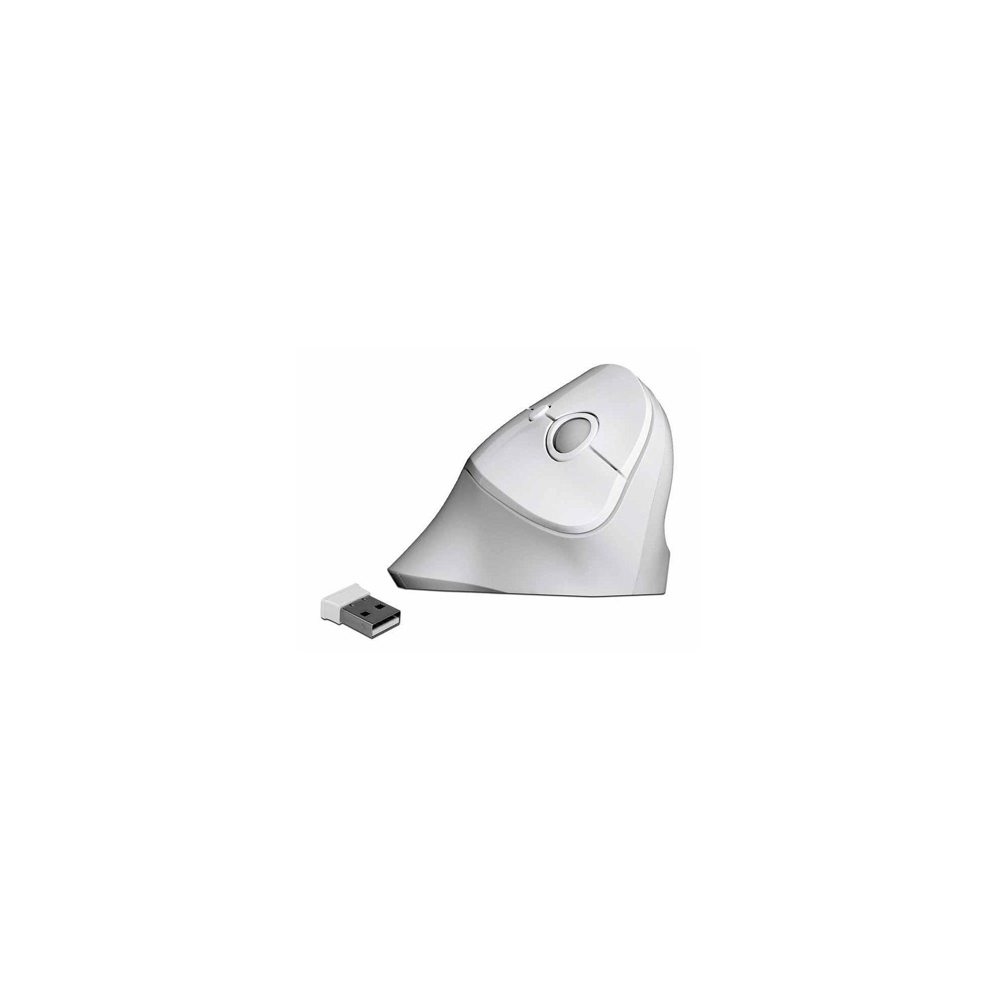 Delock 12596 Ergonomische USB Maus