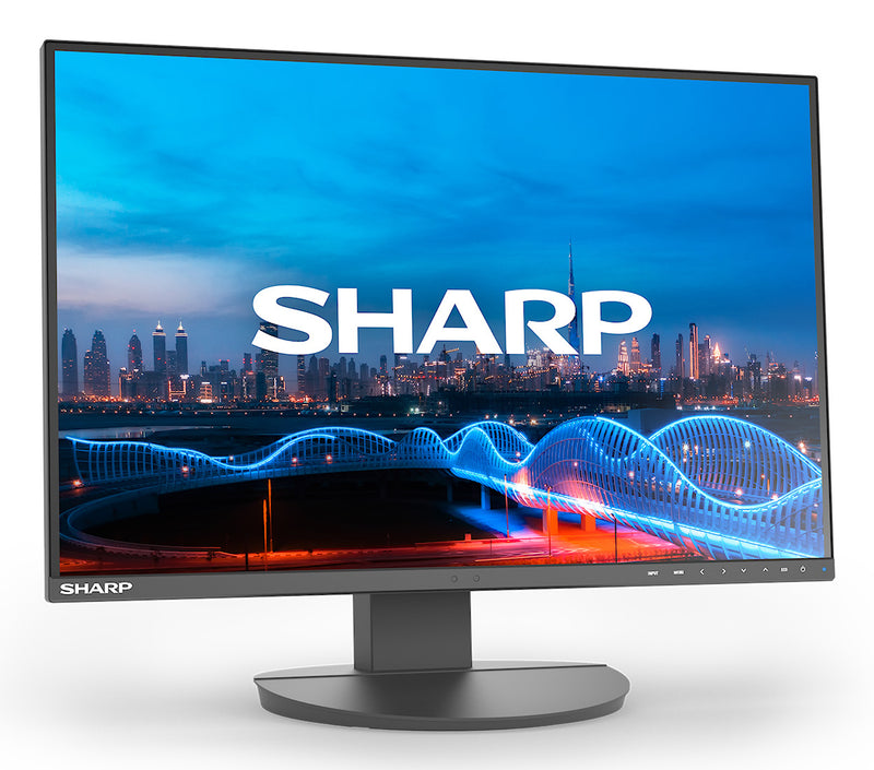 Sharp MultiSync EA241W Computerbildschirm 61 cm (24") 1920 x 1200 Pixel Full HD LCD Schwarz