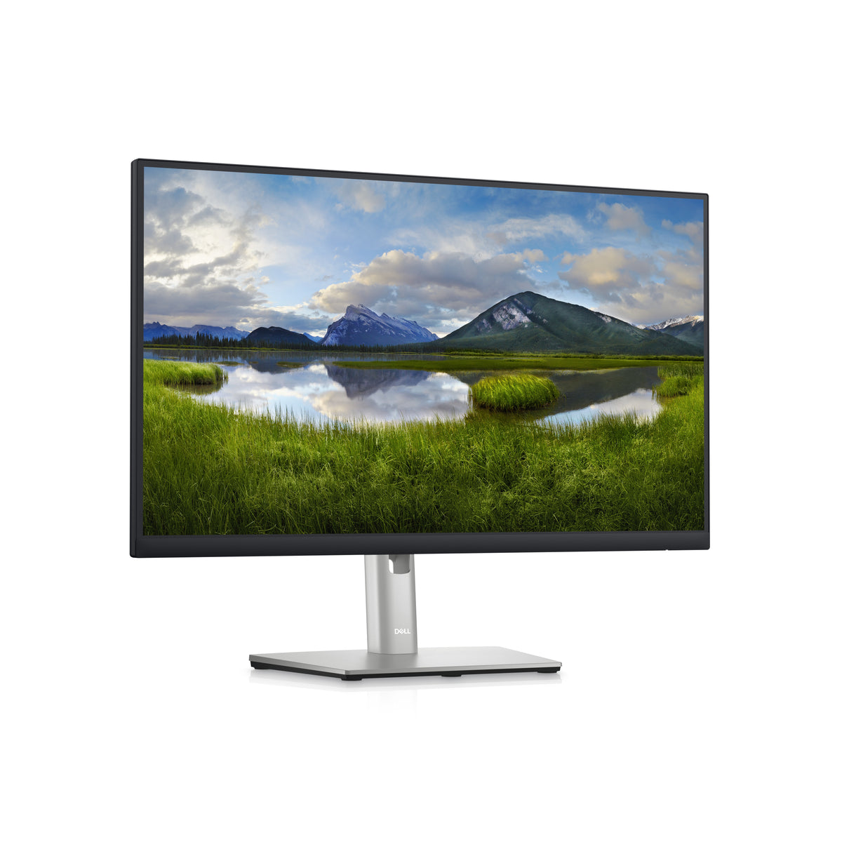 DELL P Series 24 USB-C-Hub-Monitor – P2423DE