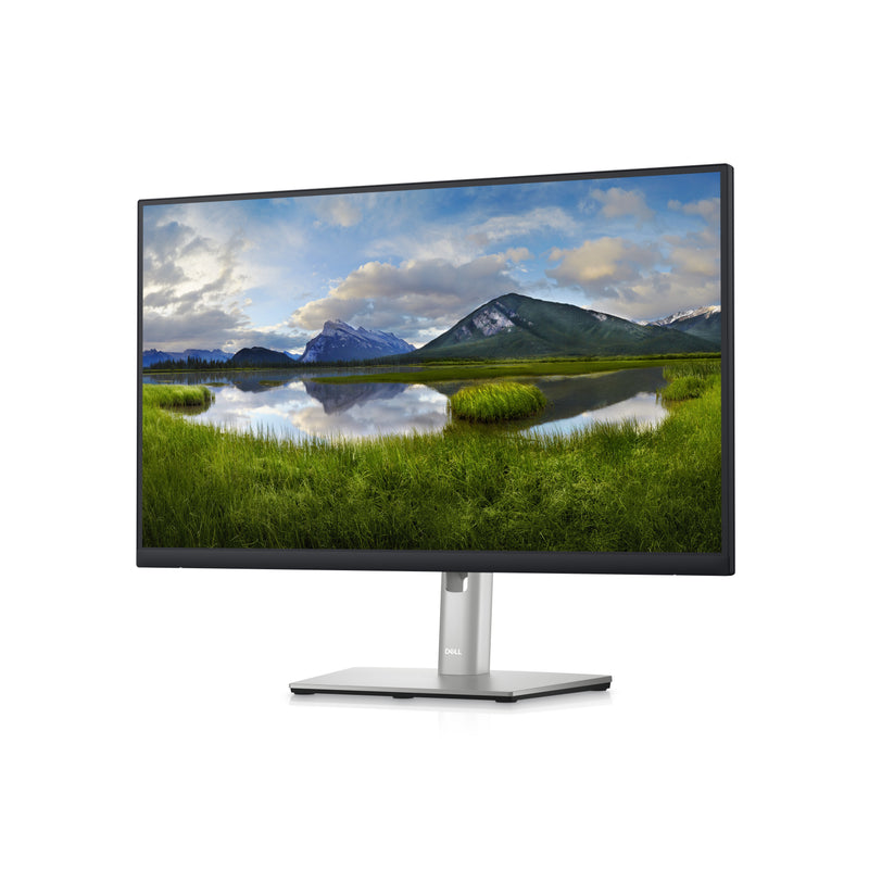 DELL P Series 24 USB-C-Hub-Monitor – P2423DE