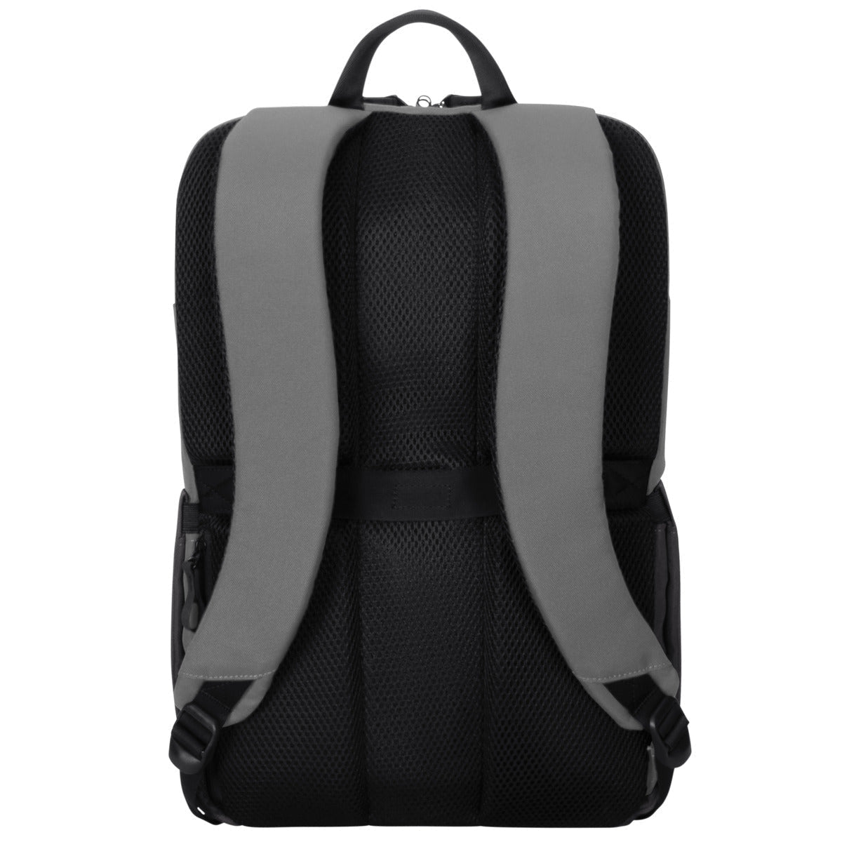 Targus Sagano 39,6 cm (15.6") Rucksack Schwarz, Grau