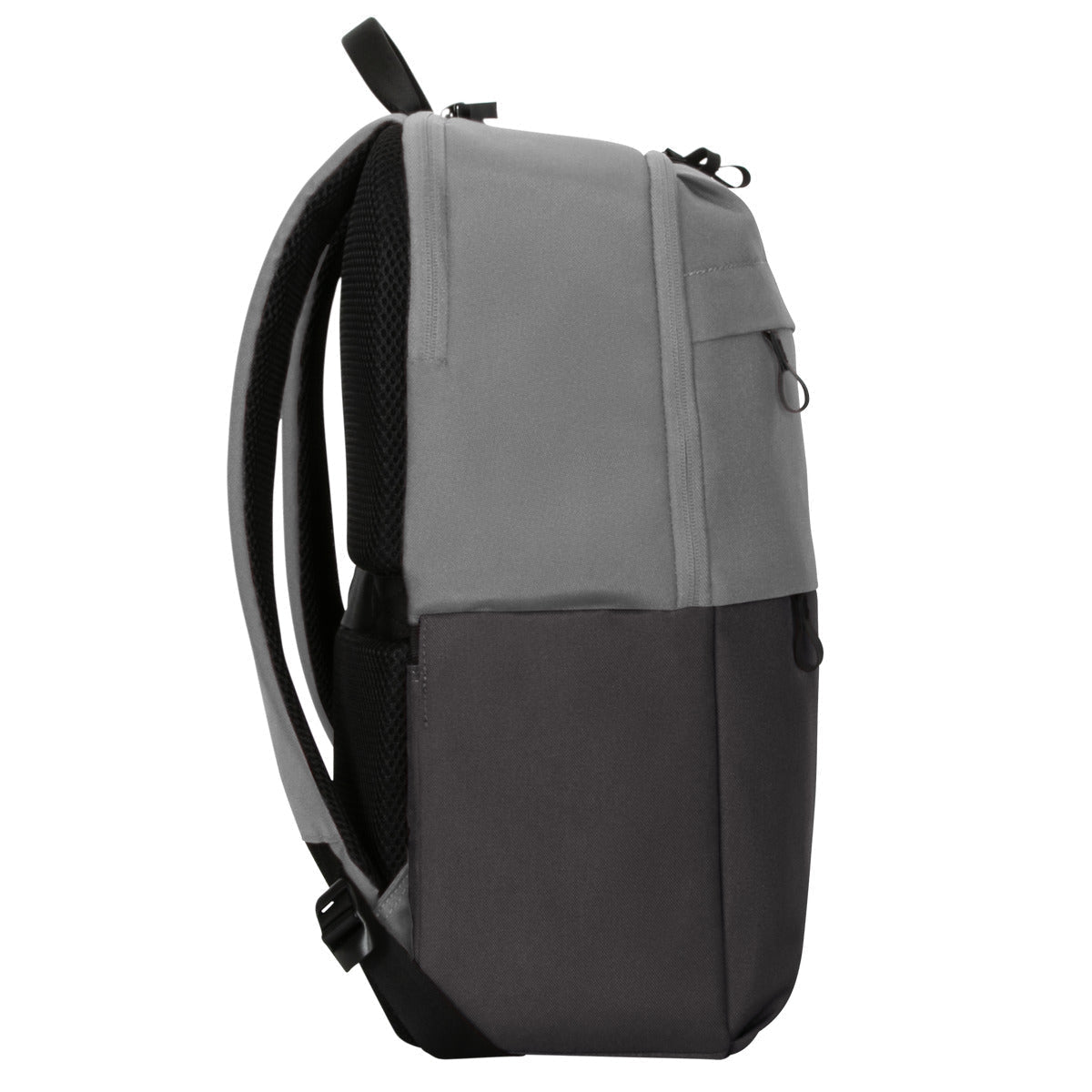 Targus Sagano 39,6 cm (15.6") Rucksack Schwarz, Grau