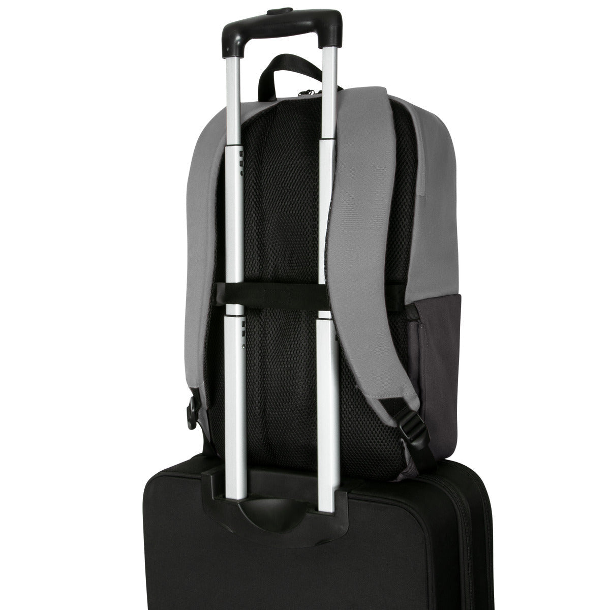 Targus Sagano 39,6 cm (15.6") Rucksack Schwarz, Grau