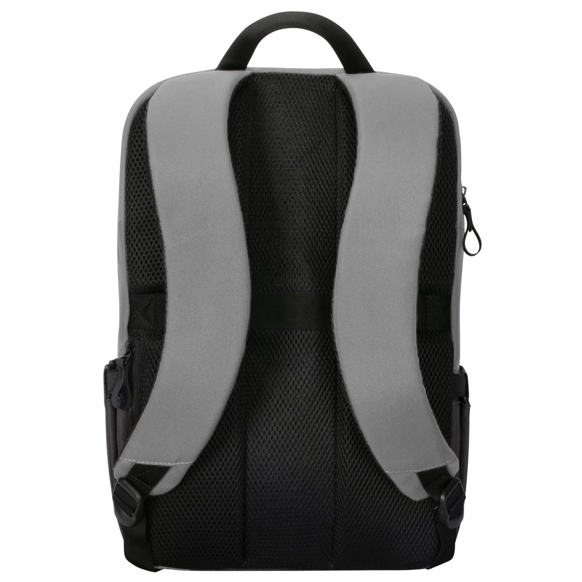 Targus Sagano 39,6 cm (15.6") Rucksack Schwarz, Grau