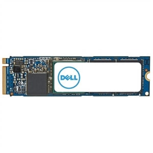 DELL AC037409 Internes Solid State Drive 1 TB M.2 PCI Express 4.0 NVMe