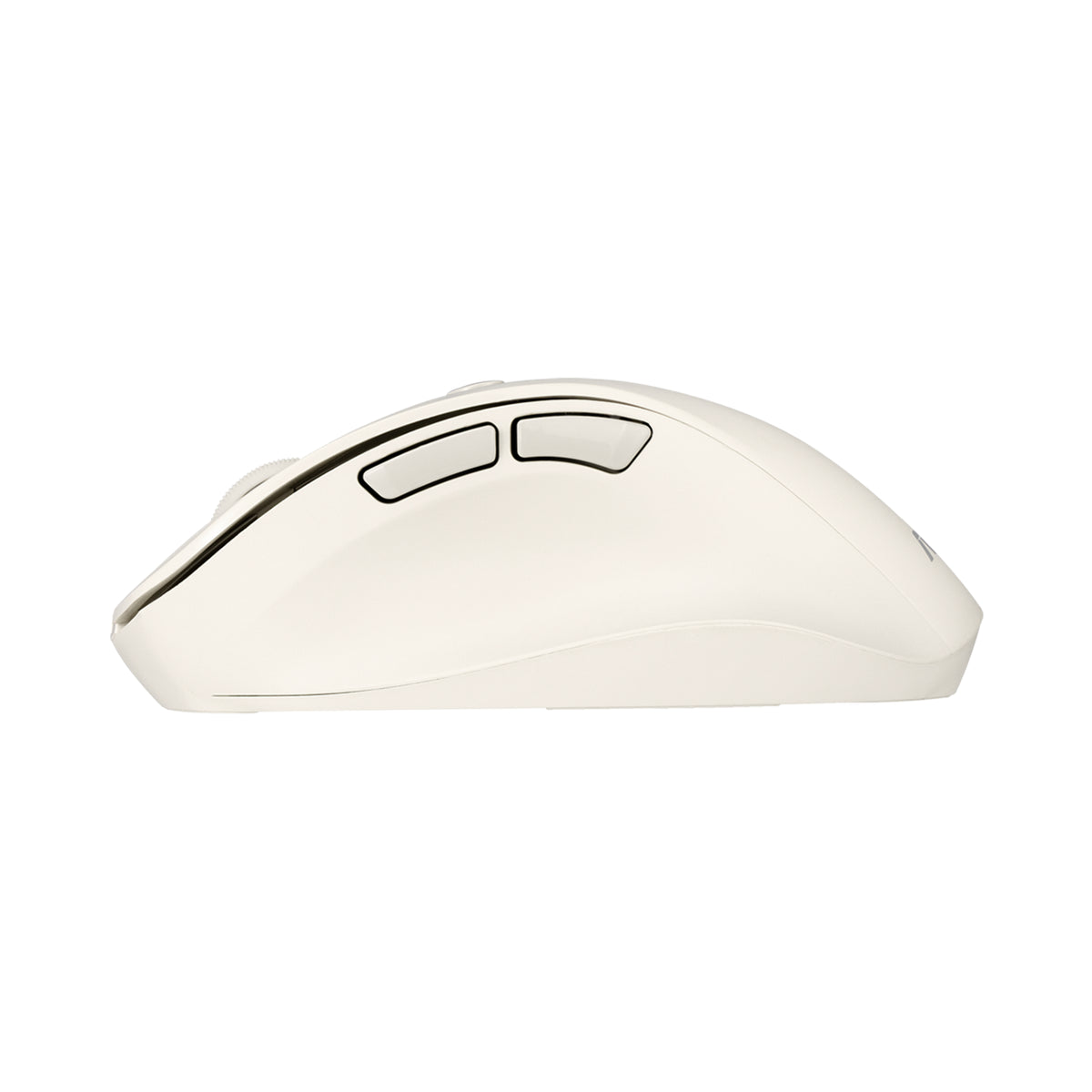ASUS MD105 MOUSE/MK-WH Maus Universal Rechts RF Wireless + Bluetooth 2400 DPI