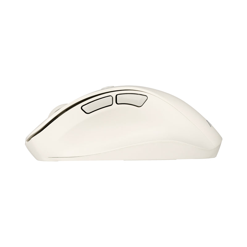 ASUS MD105 MOUSE/MK-WH Maus Universal rechts RF Wireless + Bluetooth 2400 DPI