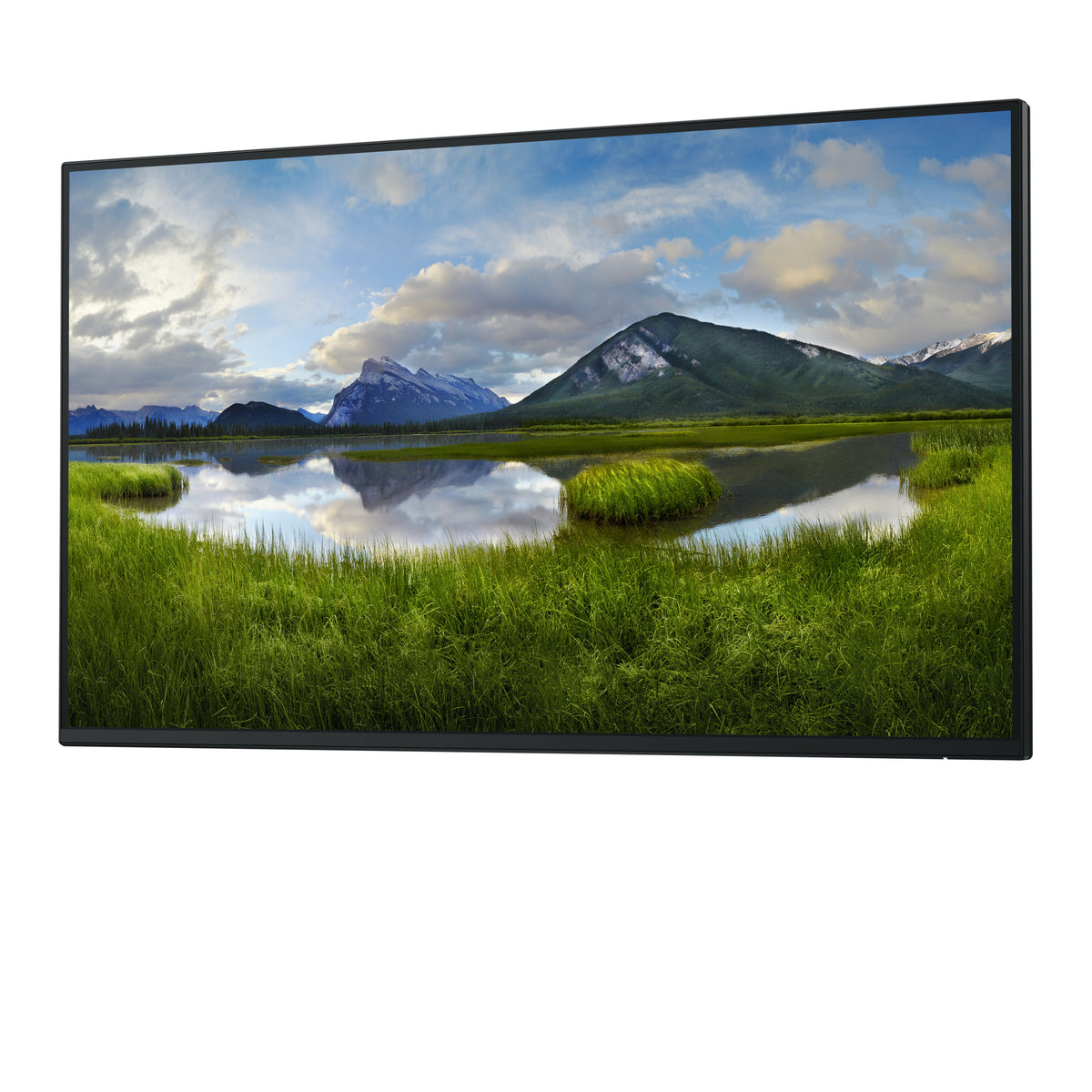 DELL Pro Plus P2725H_WOST Computerbildschirm 68,6 cm (27") 1920 x 1080 Pixel Full HD LCD Schwarz