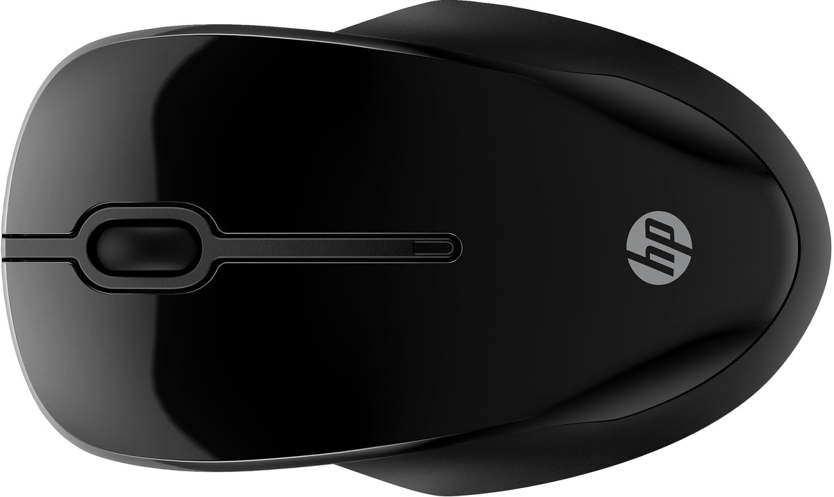 HP 250 Dual-Maus