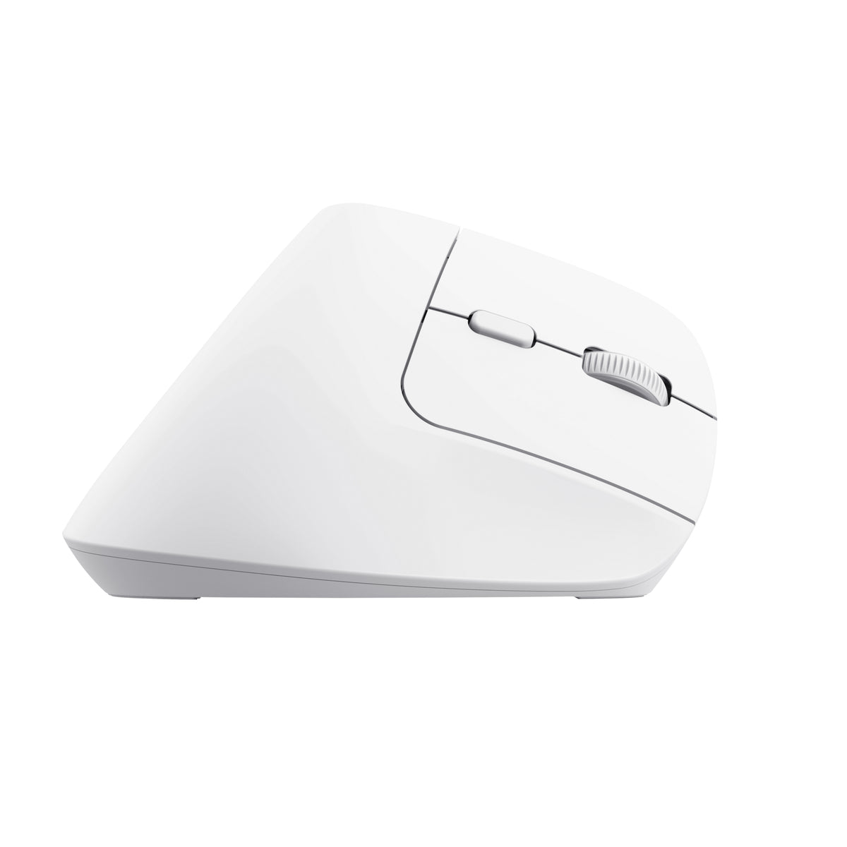 Trust Bayo+ Maus Büro rechts RF Wireless + Bluetooth Optisch 2400 DPI