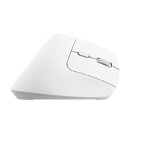 Trust Bayo+ Maus Büro rechts RF Wireless + Bluetooth Optisch 2400 DPI