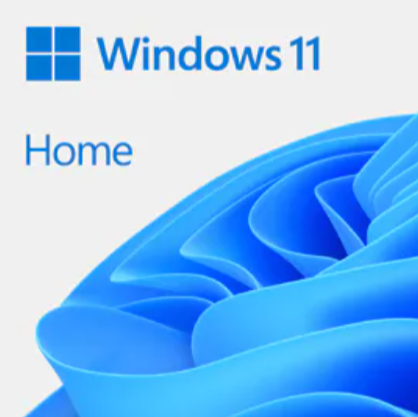 Windows 11 Home + Treiber auf Memory Stick